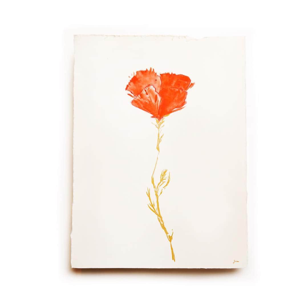 Gretchen Roehrsのインスタグラム：「A celebration of the symbol of California resilience to benefit those impacted by the devastating fires. For #GivingTuesday, I’m painting 100 unique California poppies to raise funds for fire relief. Each painting sold will raise $50 for @Calfund, an organization working to provide relief to all the areas of California effected by the massive fires and mudslides. Edition of 100. Signed & numbered. Cadmium Red gouache & gold ink on paper. The link to purchase one for yourself or a friend is in my profile.」