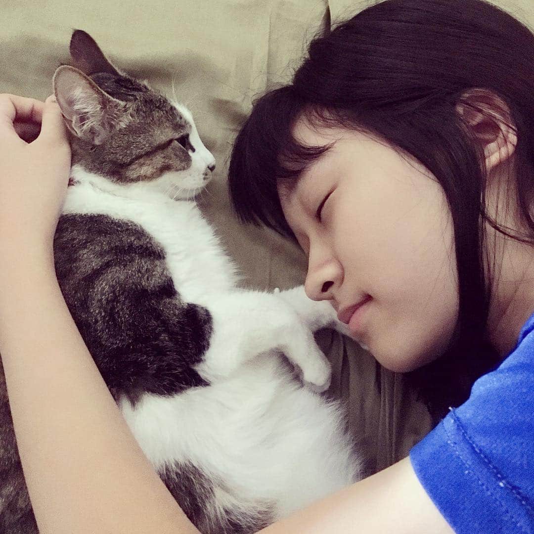 前野えまさんのインスタグラム写真 - (前野えまInstagram)「いつも一緒。 寝る時までずっと一緒。  #猫との生活  #猫との暮らし #猫好きな人と繋がりたい #猫 #ねこ #ねこすたぐらむ #ねこ部  #前野えま」11月28日 6時58分 - maeno_ema