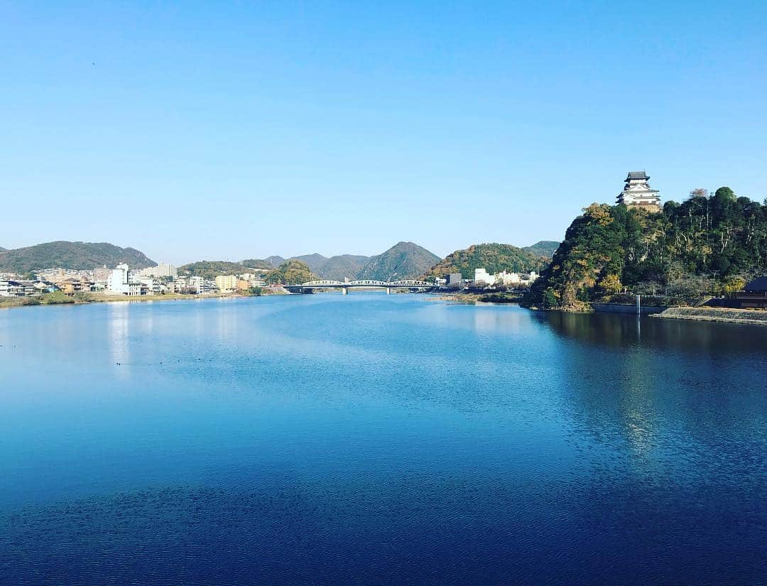 湯田友美さんのインスタグラム写真 - (湯田友美Instagram)「Hometown❤︎ Running around Inuyama castle and watched Autumn leaves…🍁 -Inuyama city, Aichi!!! ・ 犬山❤︎ 観光もランも楽しいですよ！ 木曽川と一緒にみる、犬山城が好き❤︎ 昔からひとりで走り回ってたなw お隣、岐阜県でお仕事いってきます🤗 ・ #犬山 #犬山城 #ただいま #木曽川 #紅葉 #桃太郎神社 #岐阜 #愛知 #Inuyama #inuyamacastle  #bostonterrier #hometownlove」11月28日 18時03分 - yudatomomi