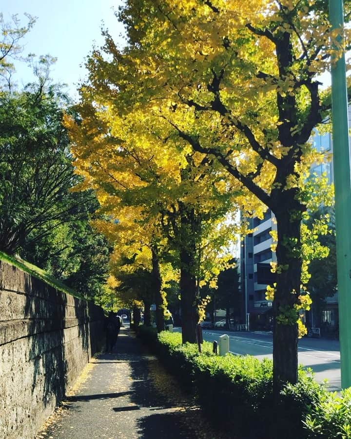 松阪ゆうきのインスタグラム：「紅葉🍁ですね(^^)」