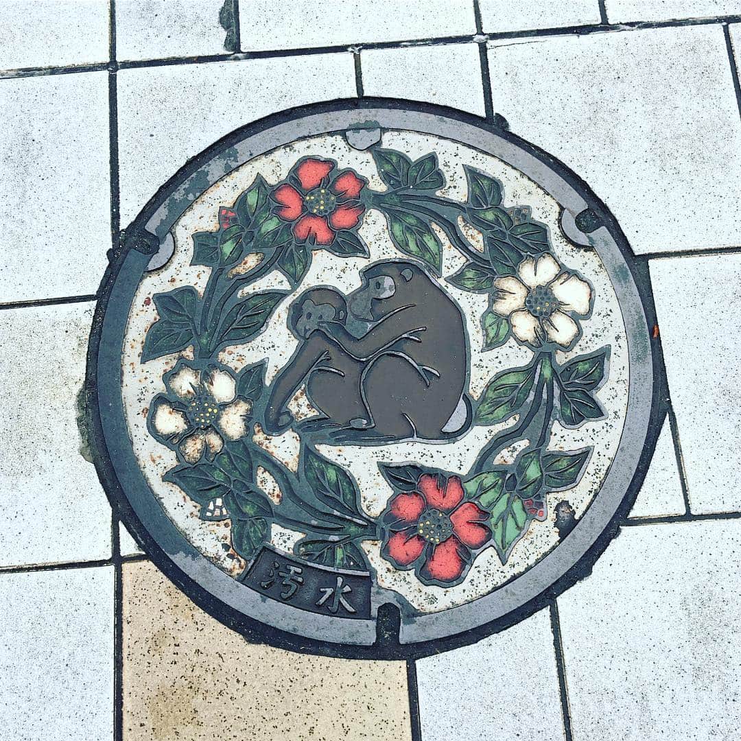 桜井くみ子さんのインスタグラム写真 - (桜井くみ子Instagram)「大分県大分市のデザインマンホール蓋。 ＊高崎山自然動物園のお猿さん親子 ＊市の花『サザンカ』 ＊『汚水』の文字入り 真ん中に、愛らしい姿のお猿さん親子、周りには、市の花『サザンカ』がリース風に、カラーでデザインされています✨よく見ると、『サザンカ』の小さな蕾も描かれていて、とっても可愛いデザインマンホール蓋ですね😊背景の色は白色ですが、他にも、水色や黄色の物など、いろんな種類があるみたいです❗️そして、大分空港にて、『とり天』(2枚目)、『りゅうきゅう』(3枚目)に舌鼓😋私がいただいた『りゅうきゅう』は、カンパチでしたが、新鮮なお魚の切り身を、お醤油、お酒、みりん、胡麻などを合わせたタレに漬け込んだ、大分の郷土料理なんだそうです❗️2品とも、大分特産の『カボス』も添えられていて、特に『とり天』とのコラボが最高でした😆✨ #デザインマンホール蓋 #大分市 #大分郷土料理」11月28日 14時46分 - kumin.manholeclub