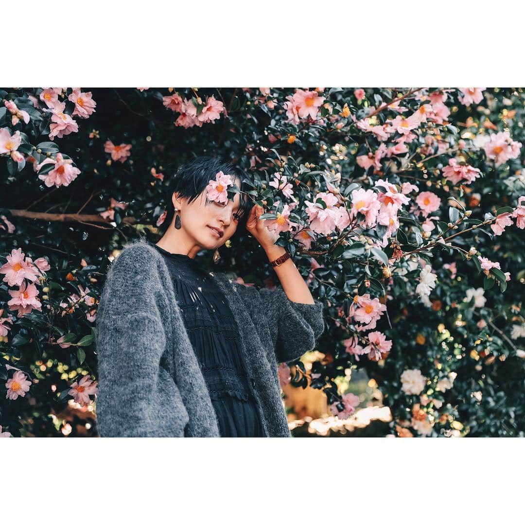 高山都さんのインスタグラム写真 - (高山都Instagram)「色とりどりの椿が咲き乱れるCamellia hillは、どこで写真を撮っても、絶対的「かわいい♡」が切り取れる場所でした。 いろんなフラッグがあって、1枚目は「あなただけ」4枚目は「会いたい」感情表現が直球ストレートw 若者カップルたちはもちろん、ご年配の方々もそんなメッセージの下で手や肩組んだりキスしたりして撮影してたのが印象的でした。 文化の違いなのだなー。ワタシ恥ずかしくて無理…🤭でも羨ましい♡いいなぁー。(結局それかw) それにしても、昼間はポカポカ陽気で、セーター1枚でも余裕なくらい。 #jeju #korea #trip #camelliahill  #visitjeju #おとなのちぇじゅたび #都の旅の記録 #チェジュ島」11月28日 15時02分 - miyare38