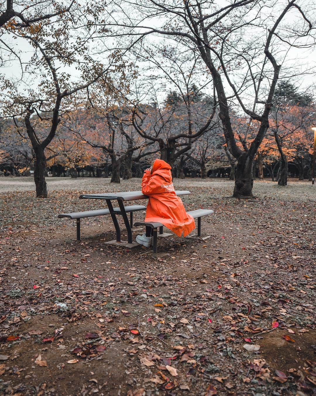 石川涼さんのインスタグラム写真 - (石川涼Instagram)「先日のインタビューを読み直してみて、もうハズキルーペくらい「これは完全に広告だけどおもろいっしょ！？どうよ？」と言わんばかりの振り切ったやつしか広告として成立しないと思うんだよね。  それにしても昨日撮ったあいにょんの写真が可愛すぎた。  #FR2#あいにょん#大塚愛里#leica#leicasl #leicacamera#smokingkills#ハズキルーペ」11月28日 21時23分 - vanquishceo