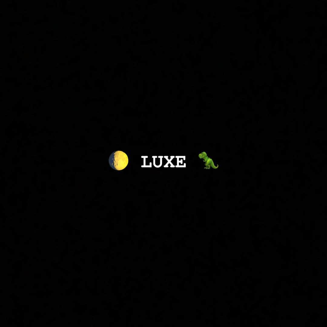 ELLYのインスタグラム：「🌔🦖」