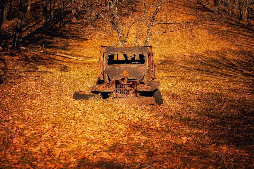 啝 （わ）さんのインスタグラム写真 - (啝 （わ）Instagram)「Abandoned Dodge with fallen leaves II #草ヒロ」11月28日 22時48分 - neji_maki_dori