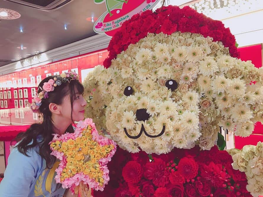 菅原りこさんのインスタグラム写真 - (菅原りこInstagram)「『生誕祭🎉🎂✨』で生誕委員の皆様が用意してくださった『クララんぼ🐶🍒』のスタンドフラワー💐🐶🍒 『クララんぼ🐶🍒』ってね、大好きな『クララ🐶』と大好きな『さくらんぼ🍒』を合わせたの🐶🍒 ハロウィンの仮装で思いついたの！✨✨✨ クララ🐶が仮装するなら…さくらんぼ🍒になってほしいな〜🥰💕って✨✨✨ それから色んなところに『クララんぼ🐶🍒』を入れたの🥰🍒💕 『生誕祭🎉🎂』でしっかりお披露目出来たらいいなぁ〜って思っていて、生誕Tにもタオルにもクララんぼ🐶🍒をプリントしていただきました🥰🍒💕 クララんぼ🐶🍒を思いついた時に1度だけメールでイラストを送ったの🤗🍒💕 かわいいでしょ？って🥰🍒💕 そしたら『生誕祭🎉🎂✨』当日に『クララんぼ🐶🍒』に会えたの〜〜〜っ🙌🙌🙌🥰🍒💕 とってもかわいい💕💕💕 とってもキレイ✨✨✨ とってもいい香り💐💐💐 嬉しすぎていっぱい遊んだ🤗🍒💕 見つめ合ったり🍒ほっぺたつんつんしたり💕お手手つないだり💕ステキなステッキ持たせたり…💕 嬉しかった💕💕💕💕」11月28日 23時59分 - cherryfairy1123