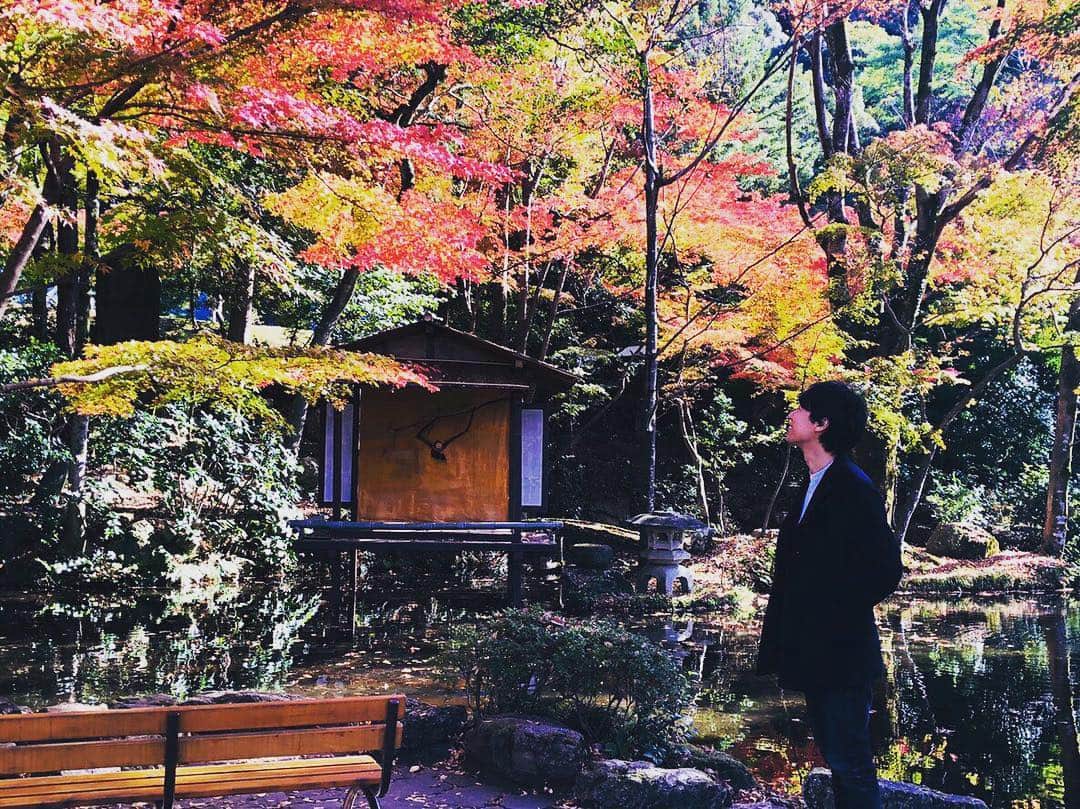 松阪ゆうきのインスタグラム：「紅葉と🍁松阪🎤  明日30日(金)は、 15:08〜16:00 NHK総合テレビ📺 「ごごウタ」に出演❣️ 是非ご覧ください(^ ^) 全国放送やで☝︎ #松阪ゆうき  #nhk総合  #nhk総合テレビ  #ごごウタ  #紅葉」