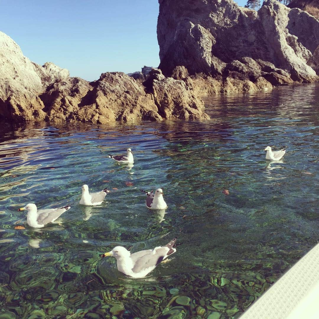 蒼山幸子さんのインスタグラム写真 - (蒼山幸子Instagram)「晩秋みちのく弾き語り 東北編3日間が終わりました。 初めての宮古大船渡石巻 どういう訳かノリとフィーリングで 一日ずつ各場所のミュージシャン そしてお店のスタッフさんが ツアーに加わっていってくれて 最後の石巻は本当に 大人数の賑やかな ステージになりました。 愛の桃太郎現象🐕笑 楽屋も車もずっと 歌があふれていて、 そして拓さん佐々木さんという 心臓がぎゅっとなるような すてきな声を持つおふたりと 回れて本当に刺激をもらいました。 あらためて歌うことが 好きだなあ、とも思えました。 企画者の斎藤さん そして東北で出会えた 全ての皆さまに感謝💐 もらったものは大きいです。 #晩秋みちのく出張編  #nothingscarvedinstone  #afloodofcircle  #ねごと #深川哲也  #gigantics #LIBOO #村松徳一」11月29日 10時38分 - sachiko_aoyama