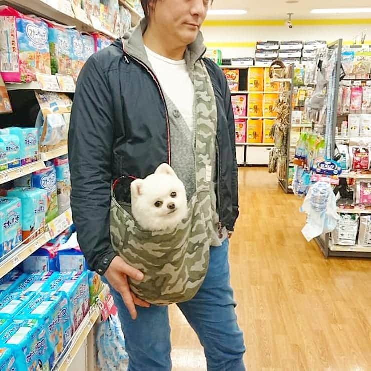 ニコちゃんさんのインスタグラム写真 - (ニコちゃんInstagram)「やっほい🎵冬物をポ買い物ちてちたでござるよ～👜🐶👮🎶 #お買い物 #冬物 #CECILMcBEE #ポメリズム #ポメラニアン #白ポメ #pomeranian」11月29日 20時46分 - nico_susukita