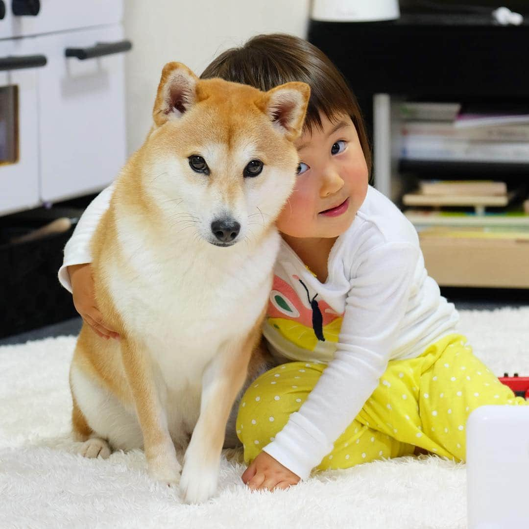 The store shiba mogu