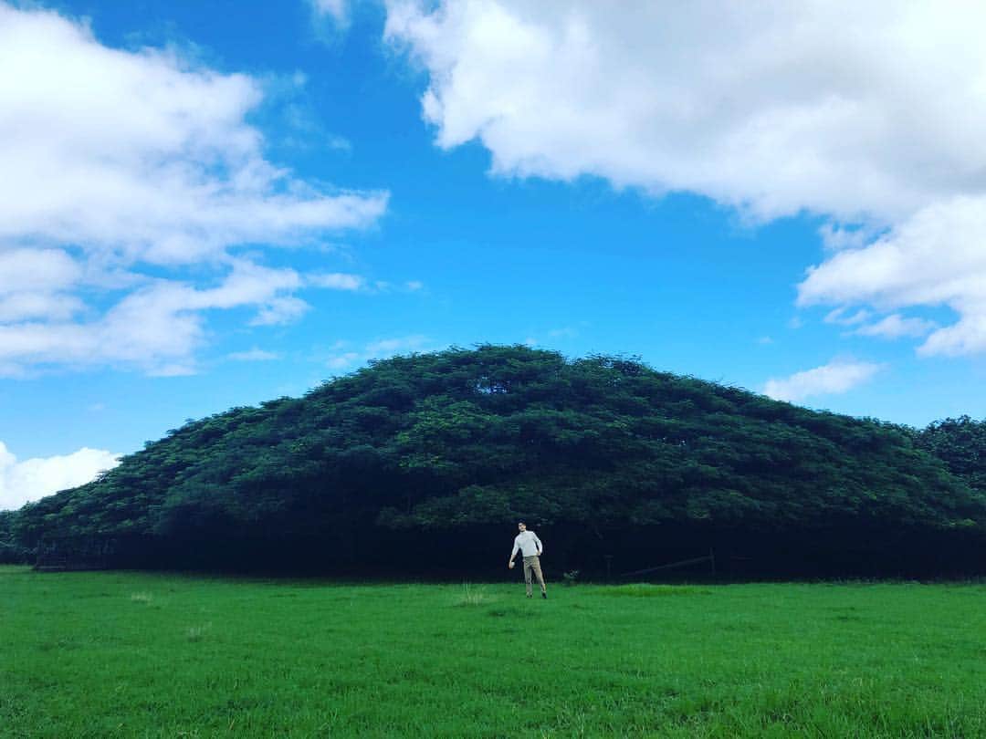 セフン さんのインスタグラム写真 - (セフン Instagram)「푸른하늘과초원」11月30日 5時59分 - oohsehun