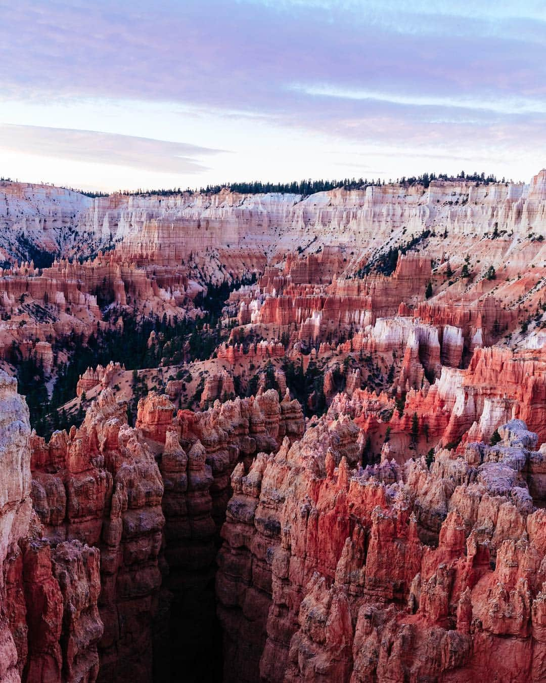 Adam Senatoriさんのインスタグラム写真 - (Adam SenatoriInstagram)「Back to Bryce / There's at least two people hiking in there. / High res digital downloads, prints and framed prints available in the store. Link under bio. - #getlost #beautahful #utahunique #beautifuldestinations #keepitwild #getoutstayout #takemoreadventures  #wondermore #forgeyourownpath #nomadstories #alwaysgo」11月30日 3時19分 - adamsenatori