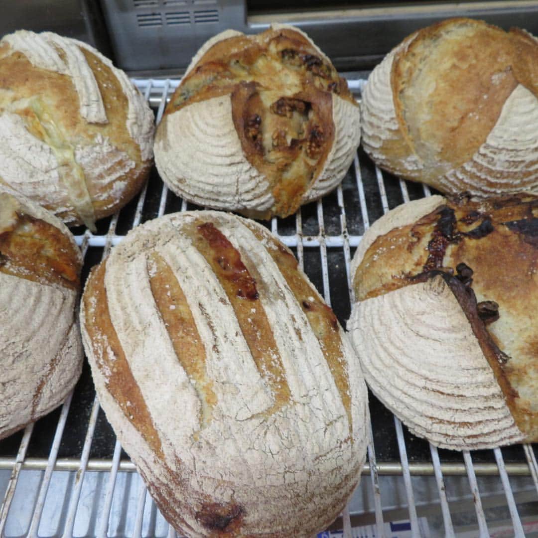 魔女菅原のグルメインスタ