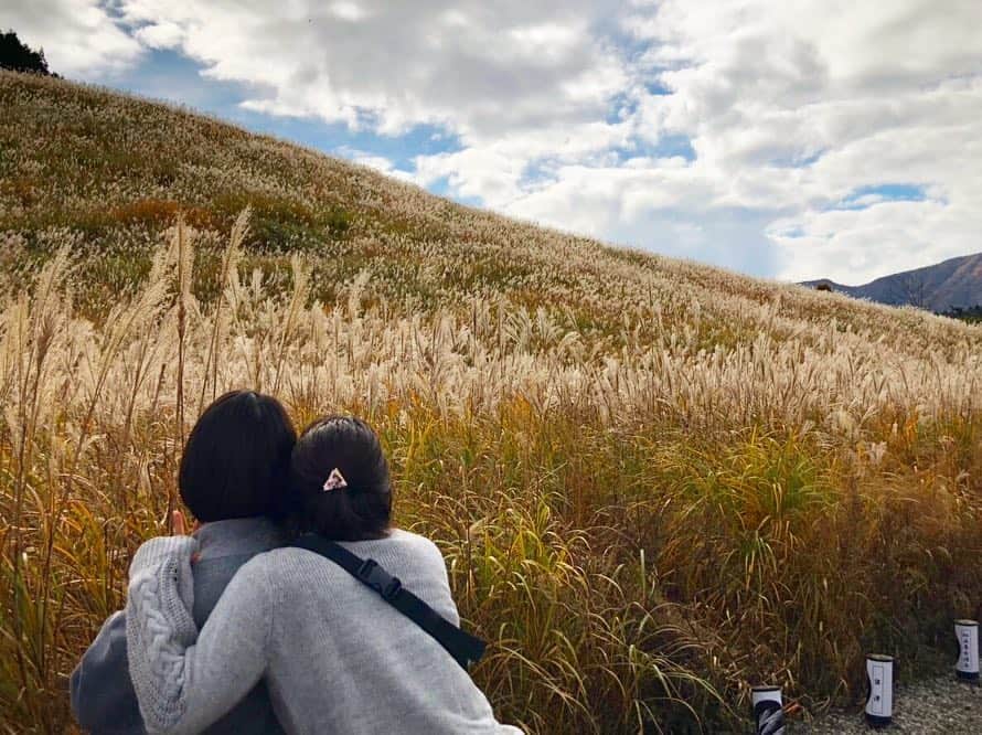 藤巻紗月のインスタグラム：「🌾🍁🌾🍁🌾🍁 少し前の箱根の旅。 ススキ素晴らしかった👏🏻」