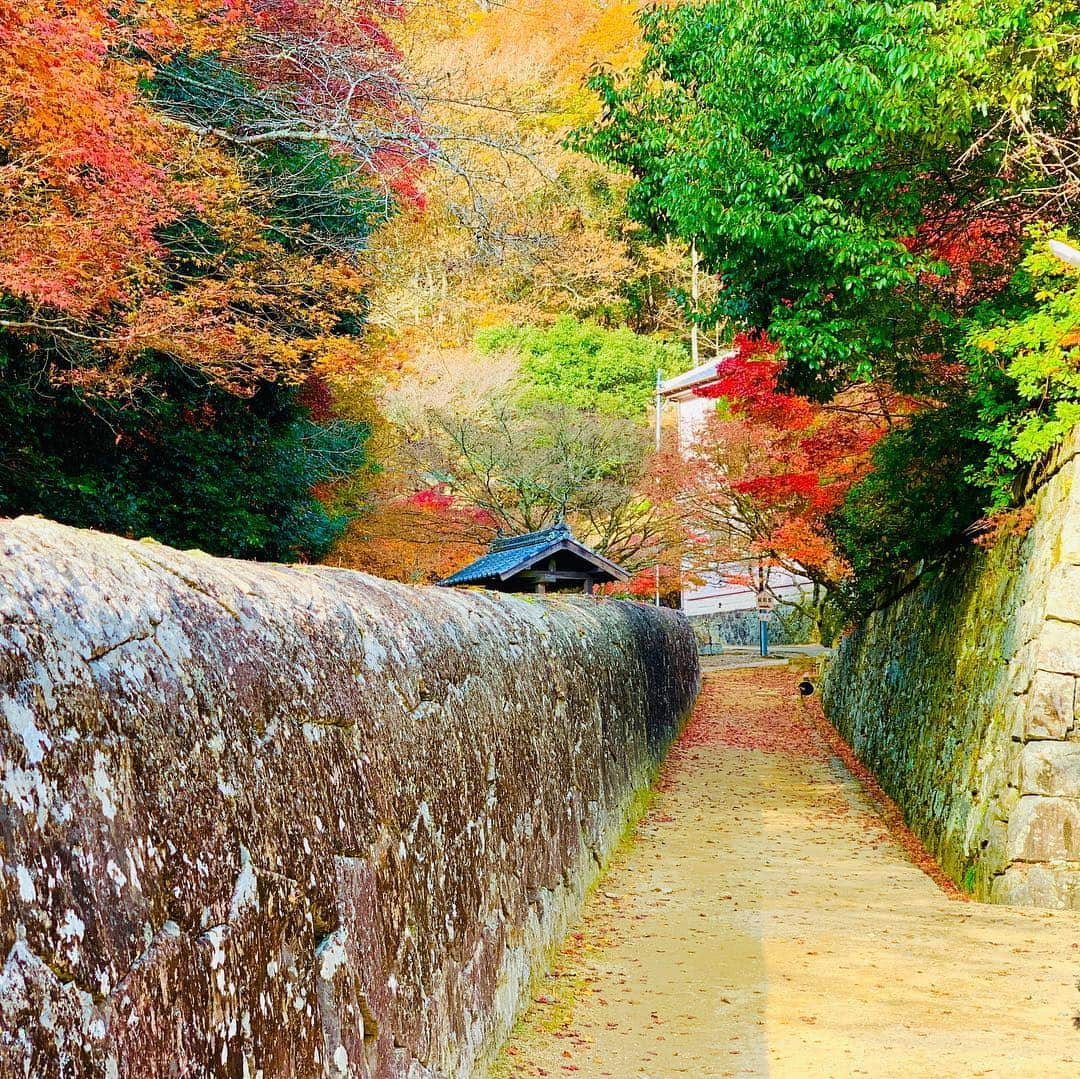 晴山由梨さんのインスタグラム写真 - (晴山由梨Instagram)「地元の方に教えてもらった紅葉スポット🍁 . #岡山 #備前市 #閑谷学校 #紅葉狩り #紅葉 #旅 #紅葉スポット #観光スポット #日生マリーナ #快晴 #風景 #秋 #autumn #iphonexs」11月30日 12時01分 - hareyama_yuri