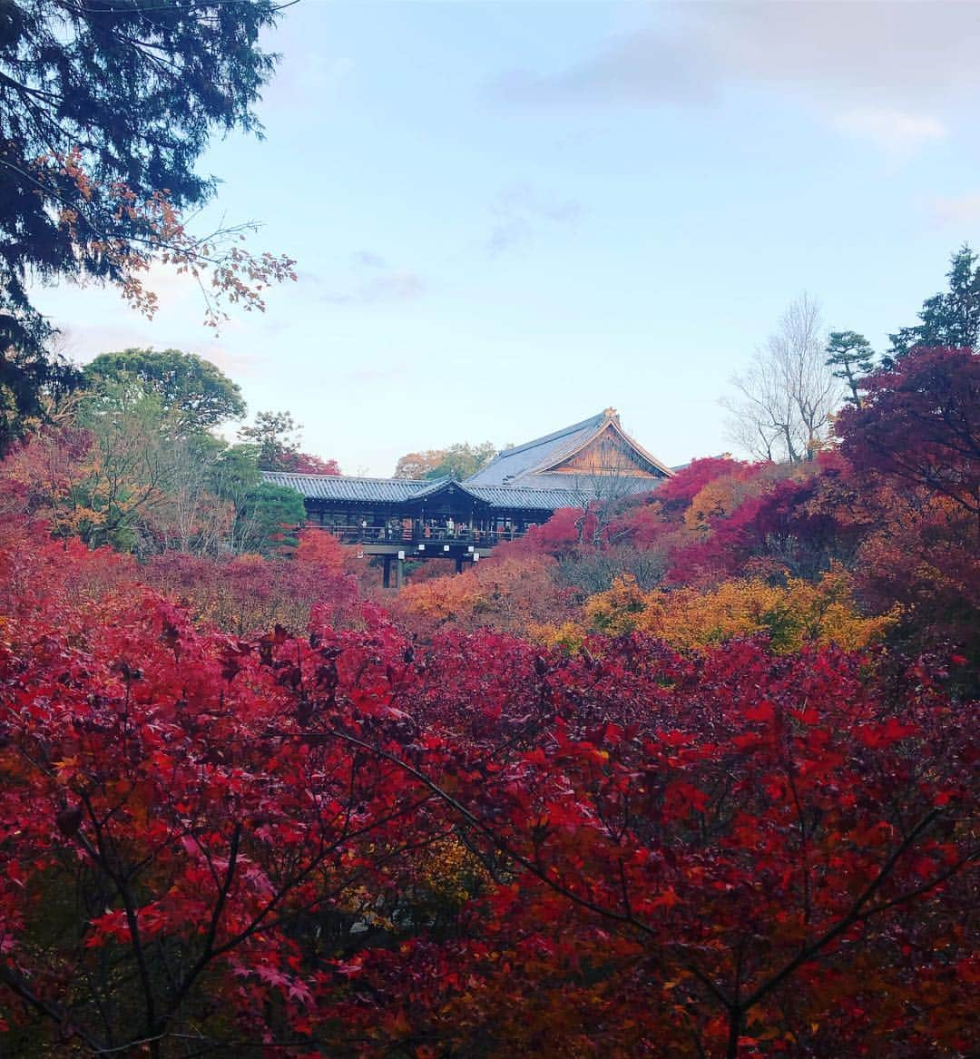 カイヤさんのインスタグラム写真 - (カイヤInstagram)「東福寺, Tōfukuji 京都 世界で一番美しい場所。 The most beautiful place in the world. 愛してるよ Luv you Caiya」11月30日 12時35分 - caiya.kawasaki