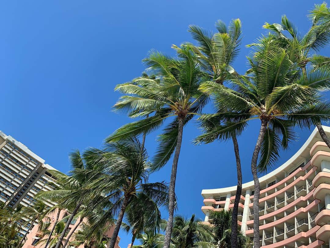 福田樹さんのインスタグラム写真 - (福田樹Instagram)「Hawaii Day 5🏖 ・ Bruno Marsの余韻に浸りまくりながら迎えた5日目。 大好きな#islandvintagecoffee で腹ごしらえ😋1回食べて味付けにハマったサーモンのポキ✨アヒポキとは別腹です笑 ・ そしてこの日は海Day🏝👙🐠今年買ってまだ着てなかった水着をハワイでおろしました😏テンション上がって菜々緒ポーズwコケる妹w 奥の方まで行ってちゃぷちゃぷ浮かびながら超ハマったのが、#はひふへほゲーム！(爆)言葉のあいうえおの部分をはひふへほに変えて喋るというくだらない遊びですが、これが面白すぎて3人で鬼爆笑しました。ハワイ関係ないやつ← ・ あー、やっぱりハワイの海は最高だねっ🏄‍♀️✨ ・ #Hawaii #Waikiki #waikikibeach #ocean #bluesky #salmonpoke #happy #enjoy #laugh #goodday #菜々緒ポーズ #幸せすぎた #楽しすぎた #海が恋しい #20181111」11月30日 18時54分 - itsukifukuda