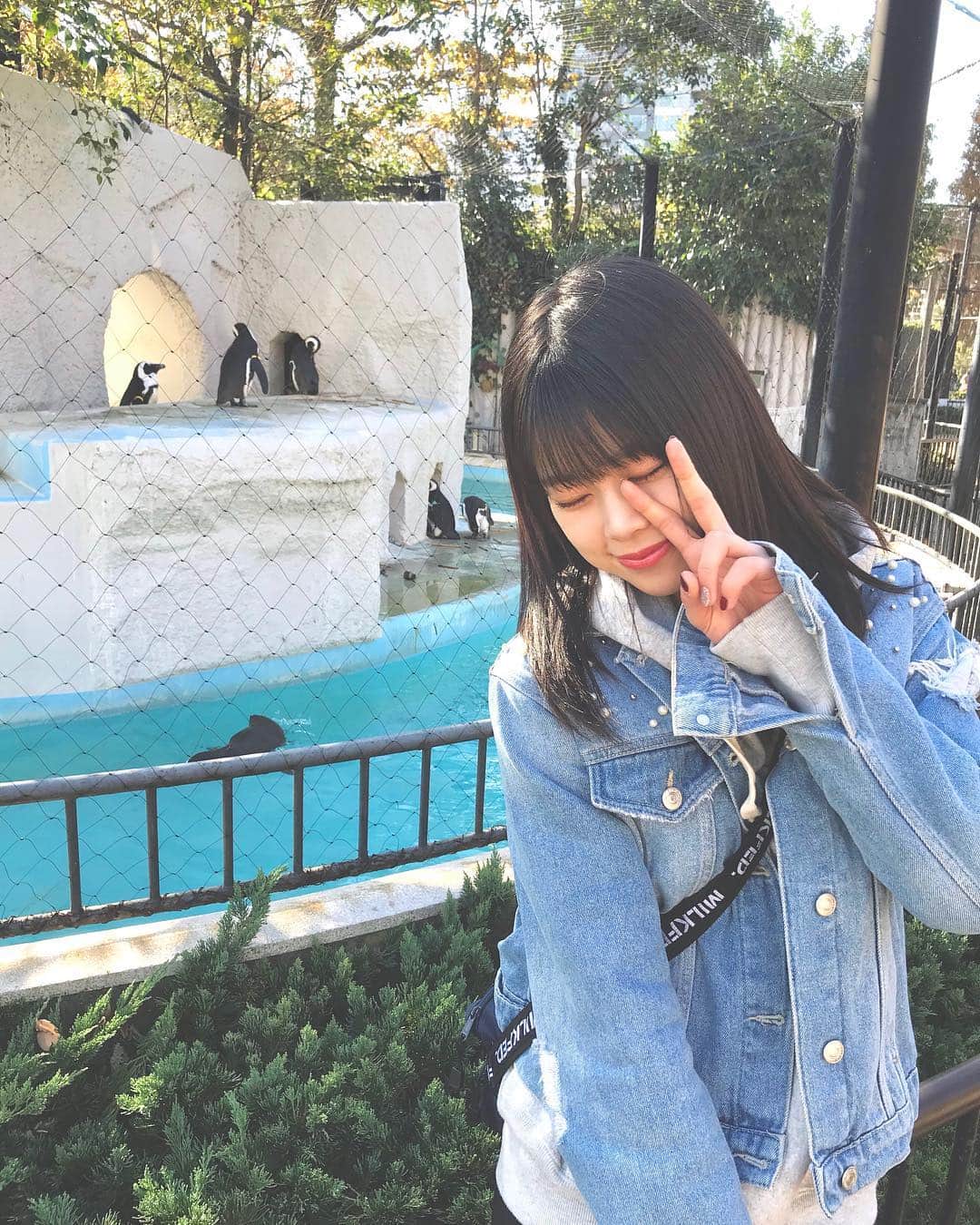 吉川七瀬さんのインスタグラム写真 - (吉川七瀬Instagram)「動物園に行ってきました😋 かわいい動物園に癒された… 動物ってかわいいですね👏🏻 . 1番かわいかったのは、この写真を載せといていうのもアレですが大きいクマさんでした🐻 ペンギンも可愛かった！ #上野動物園 #シャンシャン #は見てないよ #60分待ちでやめました」11月30日 21時10分 - yoshikawa_nanase