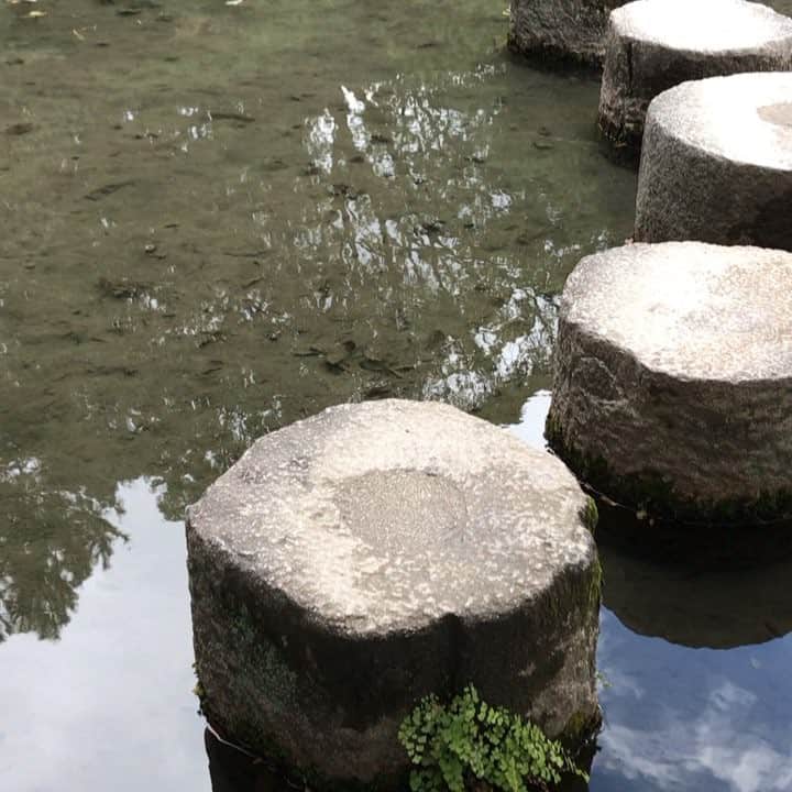 佐野優子のインスタグラム：「. 風雲たけし城を彷彿とさせる平安神宮のお庭🌳 . 沈んじゃう石もなく無事ゴールに辿り着いたよ🙌🏻 . 竜神池、好きだったなぁ〜(∗ˊ꒵ˋ∗) . #風雲たけし城  #竜神池  #平安神宮」