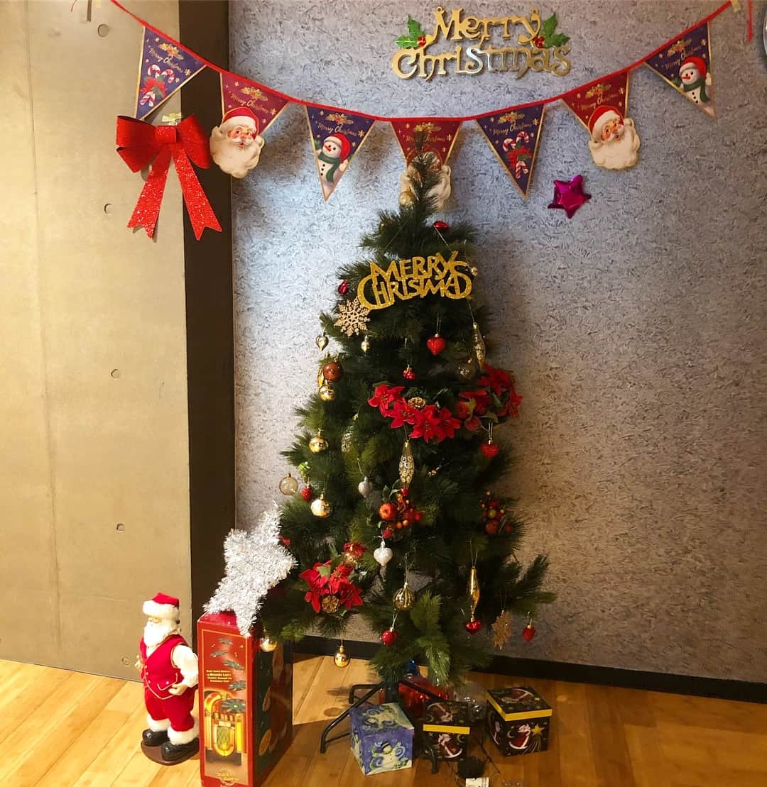 のインスタグラム：「メリークリスマス🎅🏻🎄 寮のツリーだよ☺️」