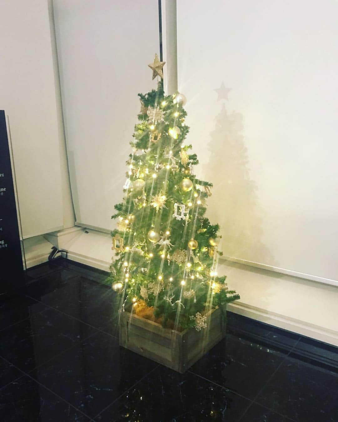 さんのインスタグラム写真 - (Instagram)「메리 크리스마스였습니다 ㅎㅎ 크리스마스에 처음으로 공연해서 오랜만에 선물 받은 기분이였어요 너무 고마워요~~~ ☺️」12月26日 1時56分 - dongdongisland
