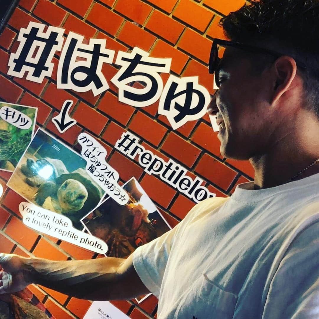 島井寛仁さんのインスタグラム写真 - (島井寛仁Instagram)「〜沖縄帰省〜 初心に戻り1からやり直し！気持ちをリセット  #沖縄 #海 #漂流物 #a&w #ゲートワン #ウミカジテラス #菊乃露 #ウージ畑 #感謝」12月26日 13時10分 - shimai_hirohito