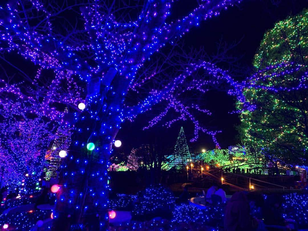 吉岡里帆さんのインスタグラム写真 - (吉岡里帆Instagram)「🎡🎠🎪 xmas.よみうりランド 夜の遊園地好きです。」12月26日 18時22分 - riho_yoshioka