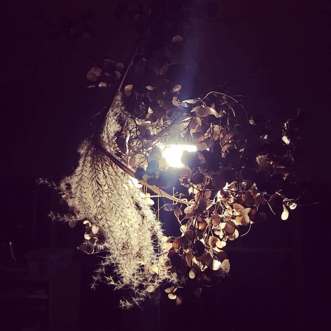 三宅洋平さんのインスタグラム写真 - (三宅洋平Instagram)「LEDが目に刺さって眩しいので 表に立ち枯れてたススキと、ナンカをポキって来て麻紐で結わえた。」12月26日 20時09分 - miyake_yohei