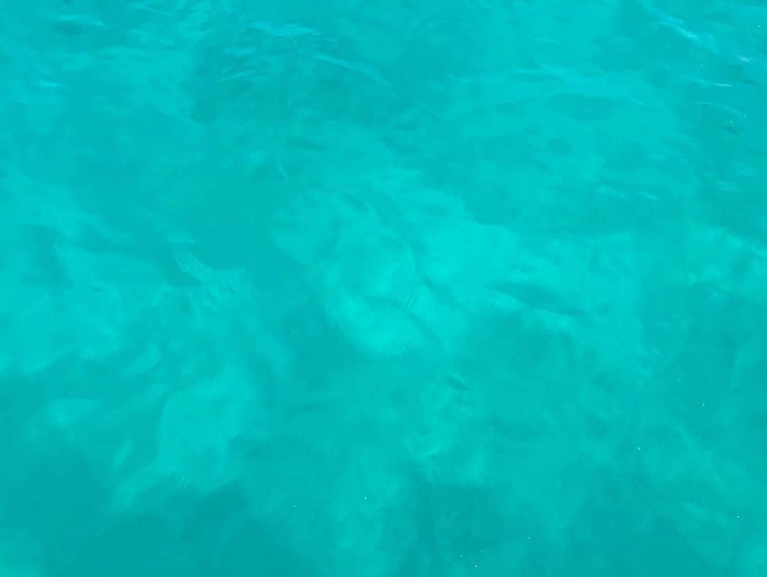 早川茉希さんのインスタグラム写真 - (早川茉希Instagram)「【オープンウォーター取得しました🐠】 * 8月に日本で途中まで講習を受けたものの 台風で何日も流れてしまい、 残り一日分を受けられずに 渡米してしまいました。。 * 今回、ダイビングショップの アクアプリさんでアレンジしていただき、 カンクンの海で潜れた上に資格も無事取得😍✨✨ 3枚目の海の綺麗さよ😭🏖 （加工なしです） * 前回、海洋実習した時は 怖くなってしまった経験があり、 緊張していましたが、 カンクンの海に入ったら 綺麗すぎて景色に夢中でした😂🐠🐚💕 * 海洋実習後はスタバで学科試験を受けて、 無事ひよっこダイバーになれました🐣  丸一日、長丁場でしたが 楽しく講習してくれたアクアプリさんに感謝です☺️💕 * #cancun #diving #openwater #カンクン #ダイビング #オープンウォーター #取得 #水族館のよう🐠 #綺麗で感動 #4本潜ってクタクタ😂 #ストーリーと時差あり笑 #アクアプリ」12月27日 7時32分 - maki_hayakawa