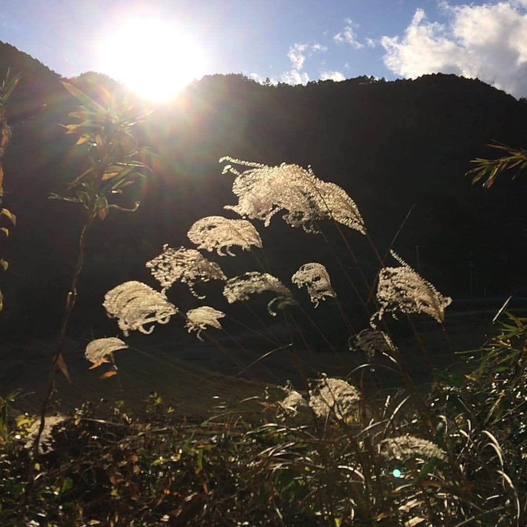 大津びわ子さんのインスタグラム写真 - (大津びわ子Instagram)「能勢の里山、黒川で、しめ縄作りを。縄をよるパワーが、なかなかないことに気づかされました。😭 #しめなわ飾り  #縄 #能勢 #里山」12月27日 17時13分 - biwarin