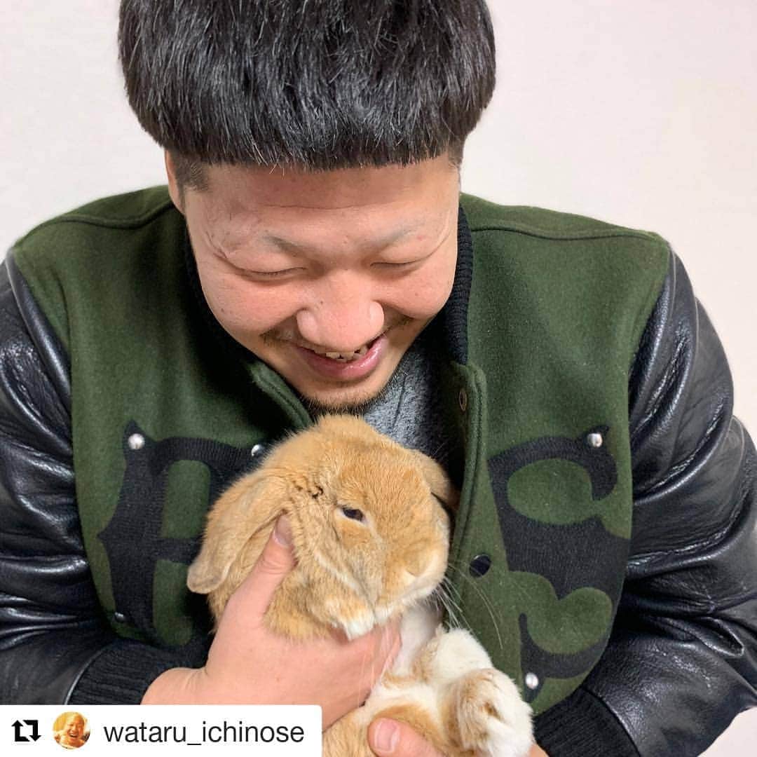 日本テレビ「獣になれない私たち」さんのインスタグラム写真 - (日本テレビ「獣になれない私たち」Instagram)「たっちん&三郎、幸せそうで良かった✨  #一ノ瀬ワタル #岡持三郎 #たっちん #しかし気になるのは #髪型どうしたの #前髪が気になって #たっちんの情報が入らない #獣になれない私たち #けもなれ  @wataru_ichinose ・・・ たっちんと一緒にうさぎ病院に行って来て、健康診断とウサギの飼い方と抱っこの仕方を教わりました🐰 おりこうさんだと褒めて貰いました🐇 名前はそのまま「たっちん」です⭐️」12月28日 15時58分 - kemo_nare_ntv