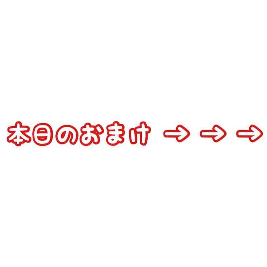 セロリさんのインスタグラム写真 - (セロリInstagram)「【あれ？あれれ？】 いくらクッション誕生。 昨日トリミング終わってますが、それはまた後日。 #maltese #マルチーズ #おしゃべりペット #大晦日まで仕事 #頑張ります」12月28日 10時42分 - celeryrabbit