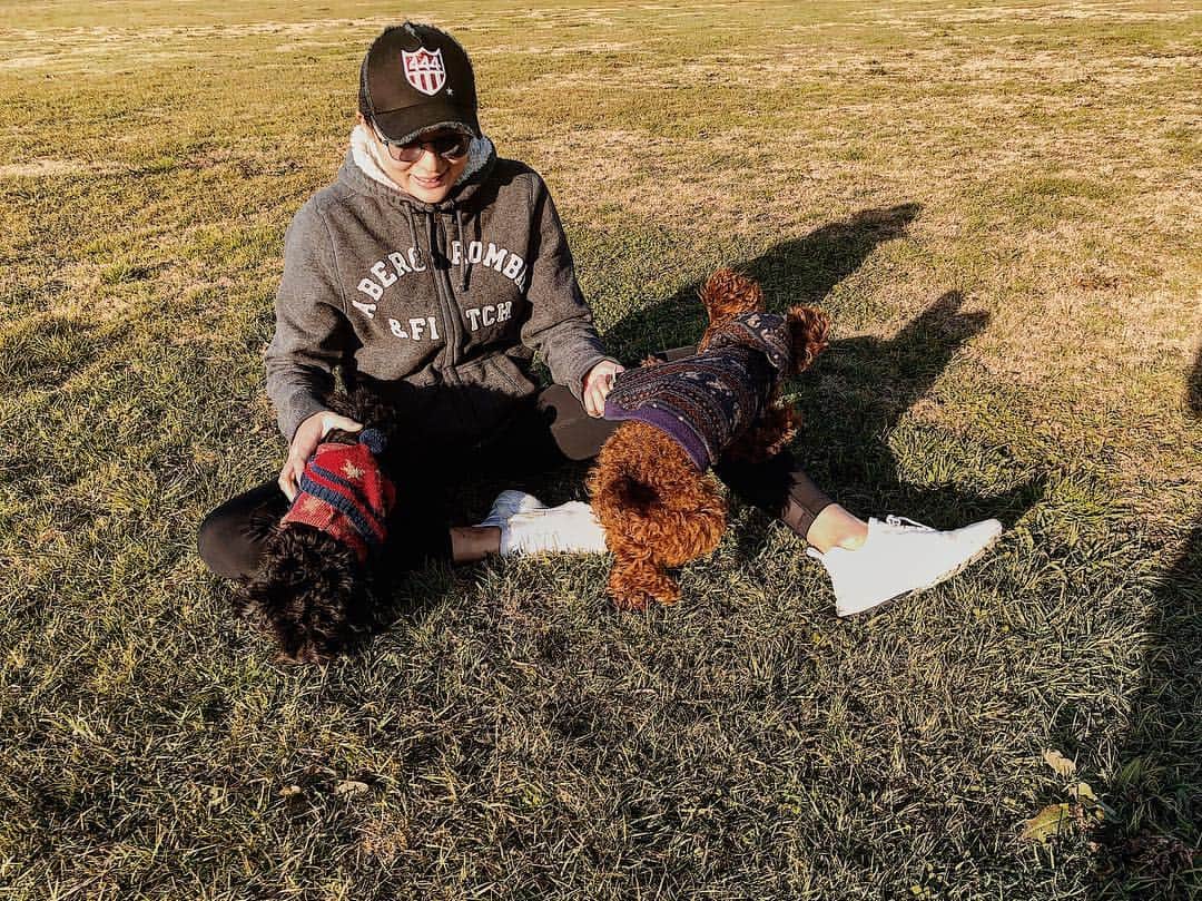 結子さんのインスタグラム写真 - (結子Instagram)「. . 🐶❤️ . あ、最近よく聞かれるんですけど、そうです、二匹に増えました。 #dog#puppy#family#dayoff #公園#休日#もんじゃ食べたい#月島集合説」12月28日 11時56分 - yuiko_yyy