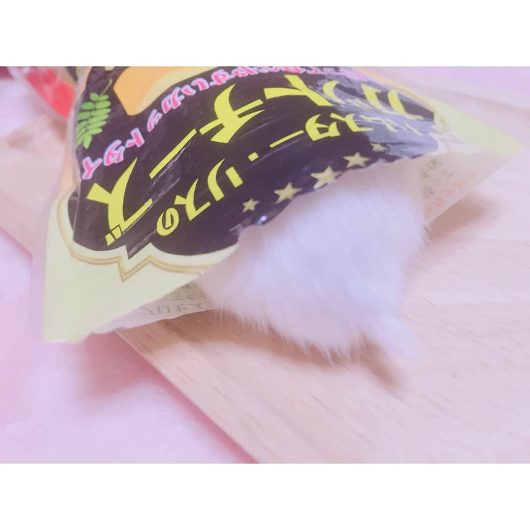 白戸遥のインスタグラム：「チーズが好きすぎた結果ww おもちはチーズがすきなんです♡ #hamster #hamstagram #hammy  #dwarfhamster #hamstergram #petstagram #fluffy#smallanimal#hamsterlife #hamsterlove  #ハムスター部 #ハムスタグラム #ハムスター #はむすたぐらむ #햄스터 #仓鼠的日常 #仓鼠  #白戸家 #はるちゃん  #かわいい  #followｍe #ハムスター好きな人と繋がりたい #ハムスターのいる生活  #おもち #チーズ#cheese #もぐもぐ #とうとう #しっぽ #おいしい」