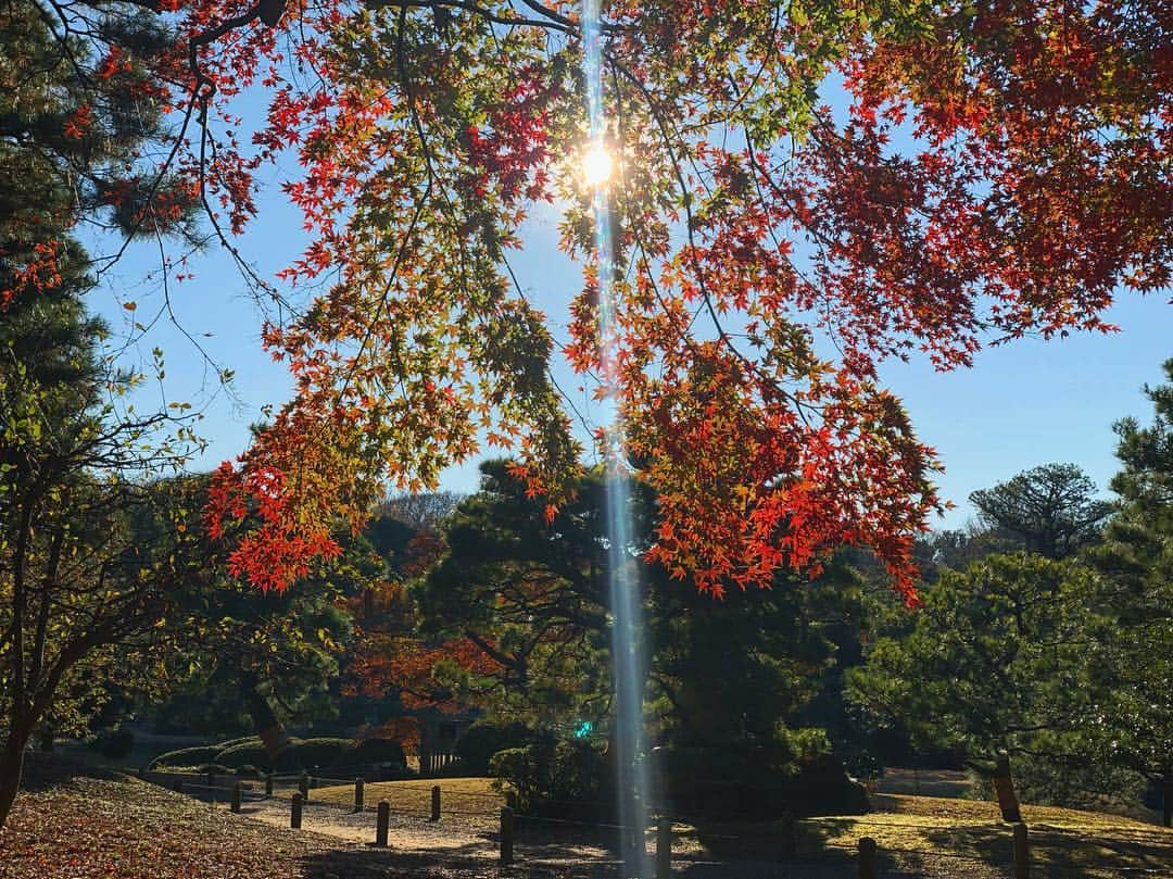 黒木ひかりさんのインスタグラム写真 - (黒木ひかりInstagram)「最近すっごく寒いけど家帰って暖かい空気感じた時幸せを感じるから 冬の寒いのもなんだかんだいって好き」12月28日 23時56分 - kuroki_hikari