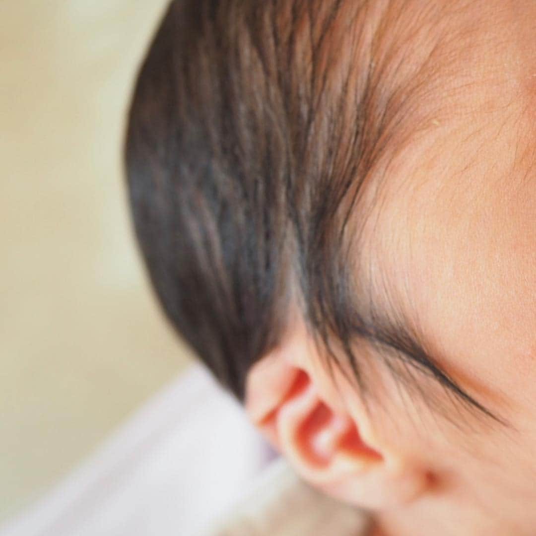 中村歌昇 さんのインスタグラム写真 - (中村歌昇 Instagram)「手。足。耳。 #耳はまだ折れてる #baby #赤ちゃん #中村歌昇  #歌舞伎 #浅草歌舞伎」12月28日 19時23分 - kasho_nakamura