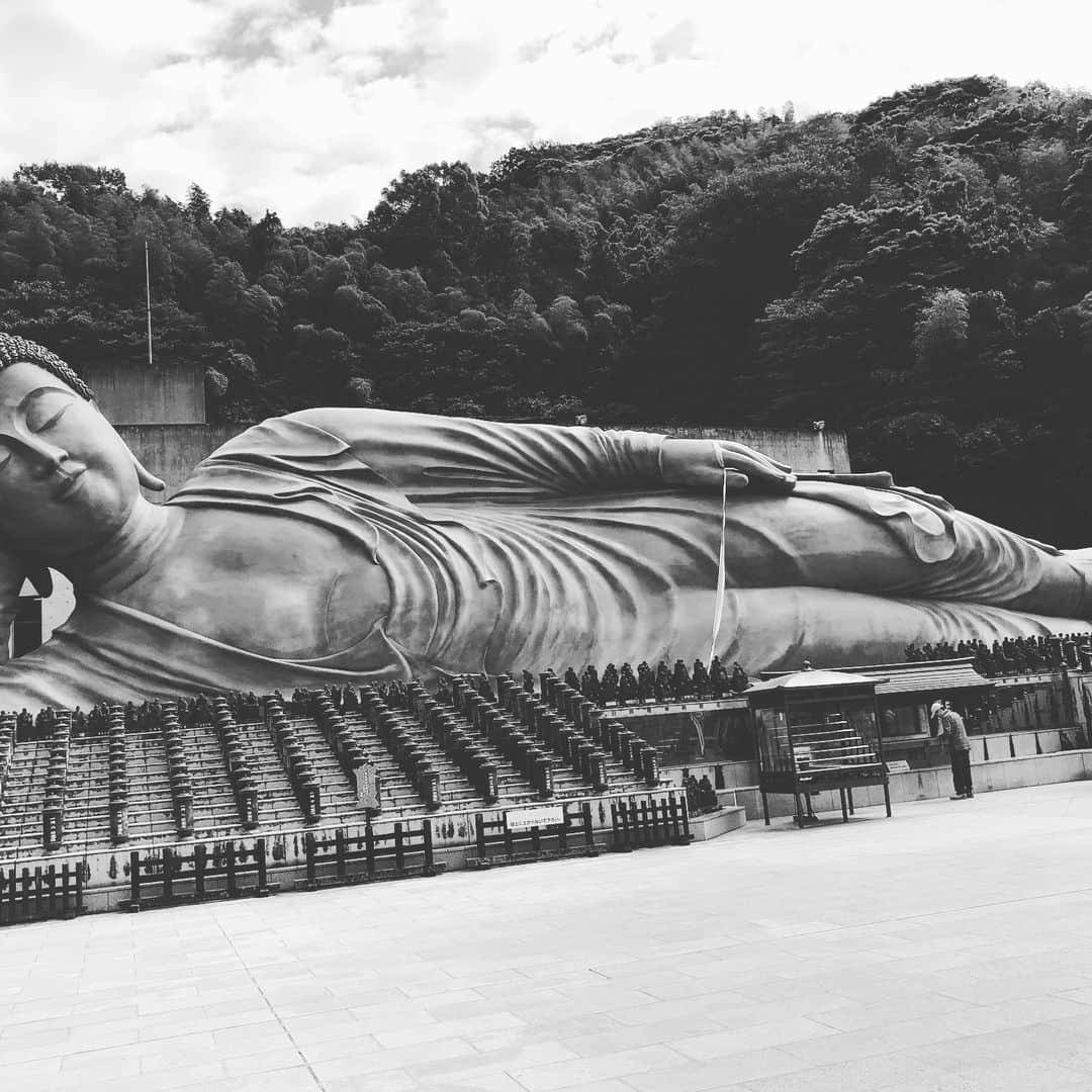 のインスタグラム：「ただ今、仕事納めました。 今年関わって全ての方々に感謝です！  飲んで食べて飲んで飲んでこの大仏のようにお正月を過ごそうと思います。  良いお年を♪( ´θ｀)ノ」