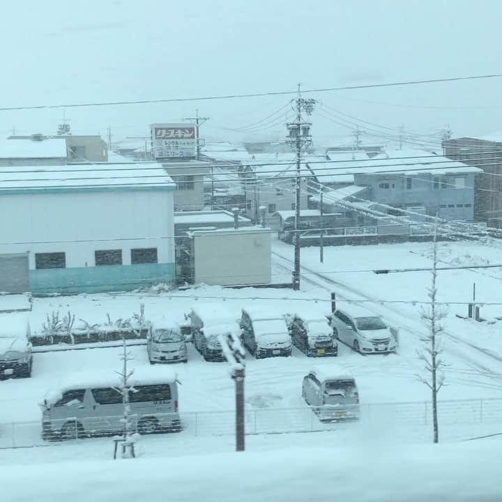 斎藤ノブのインスタグラム：「#雪 #雪 #雪」