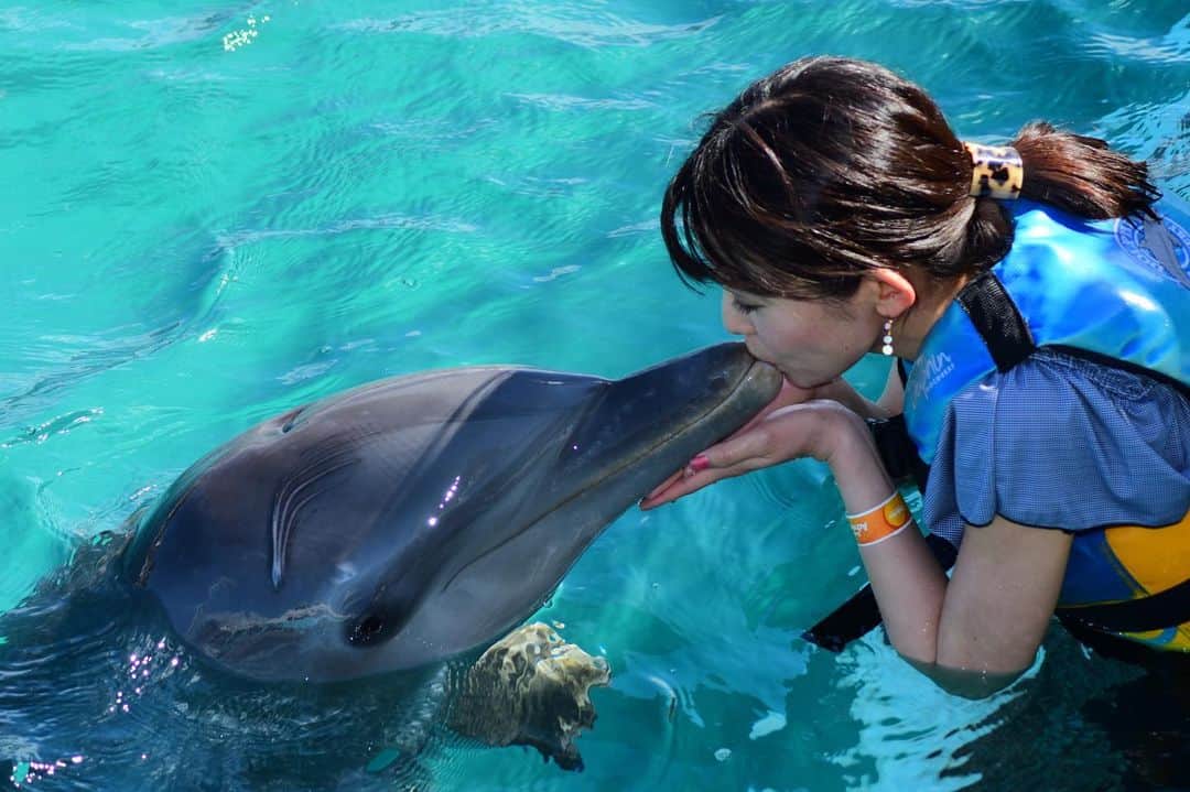 早川茉希さんのインスタグラム写真 - (早川茉希Instagram)「📍isla mujeres(イスラ ムヘーレス)🏝 * played with dolphins🐬💕 my dream comes true!!😆✨ * 友達数人からオススメされたイスラムヘーレス🏝 カンクンから船で30分で着きます🤗⛴ * 大好きなイルカと触れ合えると知って早速申し込み！🐬 触れ合えるレベルが想像を超えてきた😂✨✨ * グループに分かれて順番にイルカと泳いだり キスまでしてもらえたりします🤣❤️ もう可愛すぎてメロメロでした…😍 * 写真は全員分撮ってくれて 後でチェックして購入できるのですが、 これは買っちゃいますね。笑  家族連れもいて、絶対子どもは忘れられない 思い出になるだろうなぁと思いました😍✨✨ かなりオススメです！！！ * 今の時期は結構寒いので、 冬に行かれる方はお気をつけて🐶  #cancun #islamujeres #カンクン旅行 #イスラムヘーレス #蜷川実花 さんの #アナザースカイ らしい #女神の島 #イルカ #dolphins #イルカと泳ぐ #夢が叶った #可愛すぎたよ #癒し #働き者のイルカさんありがとう #メキシコ #タビジョ #旅好きな人と繋がりたい #🐬 #🏝 #海好き」12月29日 17時32分 - maki_hayakawa