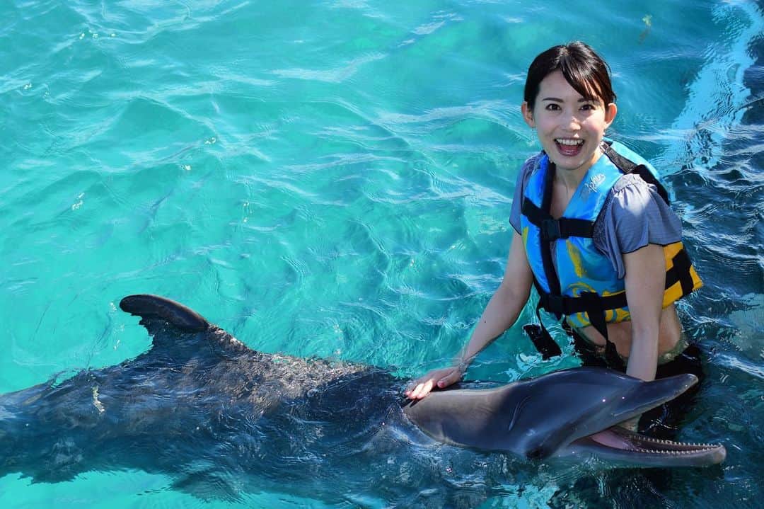 早川茉希さんのインスタグラム写真 - (早川茉希Instagram)「📍isla mujeres(イスラ ムヘーレス)🏝 * played with dolphins🐬💕 my dream comes true!!😆✨ * 友達数人からオススメされたイスラムヘーレス🏝 カンクンから船で30分で着きます🤗⛴ * 大好きなイルカと触れ合えると知って早速申し込み！🐬 触れ合えるレベルが想像を超えてきた😂✨✨ * グループに分かれて順番にイルカと泳いだり キスまでしてもらえたりします🤣❤️ もう可愛すぎてメロメロでした…😍 * 写真は全員分撮ってくれて 後でチェックして購入できるのですが、 これは買っちゃいますね。笑  家族連れもいて、絶対子どもは忘れられない 思い出になるだろうなぁと思いました😍✨✨ かなりオススメです！！！ * 今の時期は結構寒いので、 冬に行かれる方はお気をつけて🐶  #cancun #islamujeres #カンクン旅行 #イスラムヘーレス #蜷川実花 さんの #アナザースカイ らしい #女神の島 #イルカ #dolphins #イルカと泳ぐ #夢が叶った #可愛すぎたよ #癒し #働き者のイルカさんありがとう #メキシコ #タビジョ #旅好きな人と繋がりたい #🐬 #🏝 #海好き」12月29日 17時32分 - maki_hayakawa
