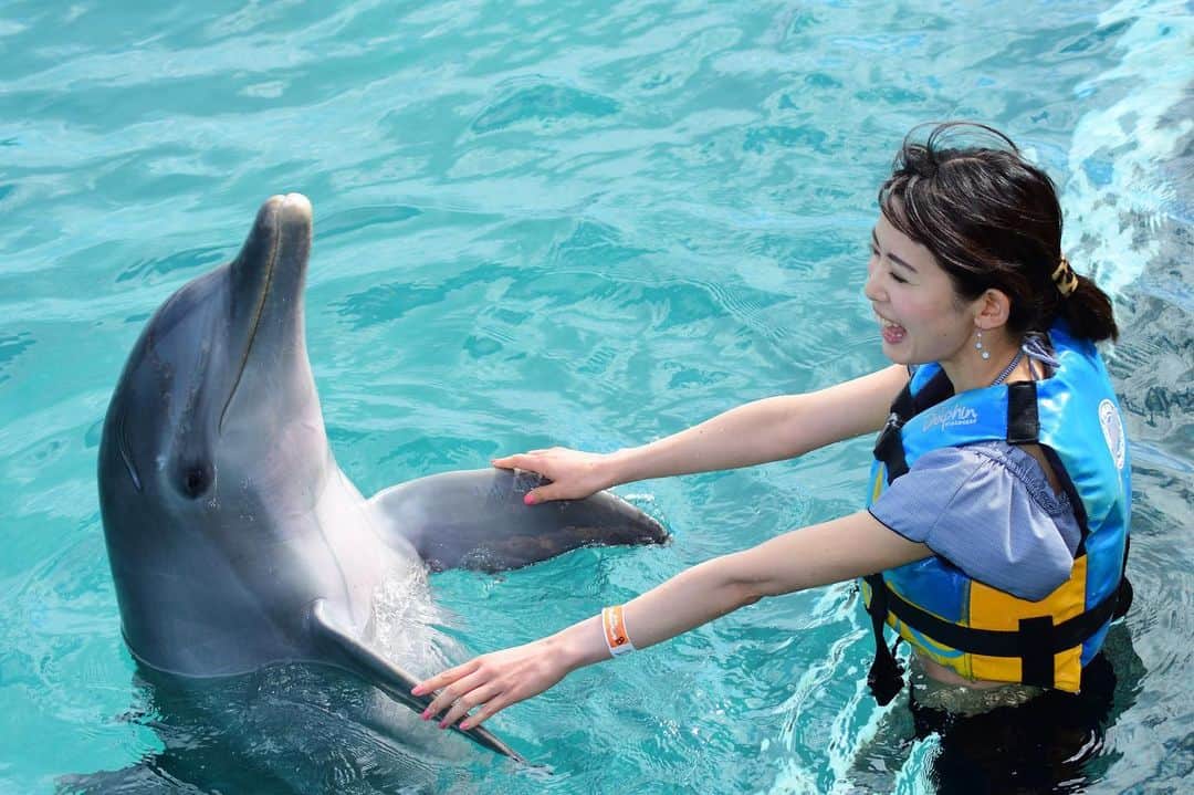 早川茉希さんのインスタグラム写真 - (早川茉希Instagram)「📍isla mujeres(イスラ ムヘーレス)🏝 * played with dolphins🐬💕 my dream comes true!!😆✨ * 友達数人からオススメされたイスラムヘーレス🏝 カンクンから船で30分で着きます🤗⛴ * 大好きなイルカと触れ合えると知って早速申し込み！🐬 触れ合えるレベルが想像を超えてきた😂✨✨ * グループに分かれて順番にイルカと泳いだり キスまでしてもらえたりします🤣❤️ もう可愛すぎてメロメロでした…😍 * 写真は全員分撮ってくれて 後でチェックして購入できるのですが、 これは買っちゃいますね。笑  家族連れもいて、絶対子どもは忘れられない 思い出になるだろうなぁと思いました😍✨✨ かなりオススメです！！！ * 今の時期は結構寒いので、 冬に行かれる方はお気をつけて🐶  #cancun #islamujeres #カンクン旅行 #イスラムヘーレス #蜷川実花 さんの #アナザースカイ らしい #女神の島 #イルカ #dolphins #イルカと泳ぐ #夢が叶った #可愛すぎたよ #癒し #働き者のイルカさんありがとう #メキシコ #タビジョ #旅好きな人と繋がりたい #🐬 #🏝 #海好き」12月29日 17時32分 - maki_hayakawa