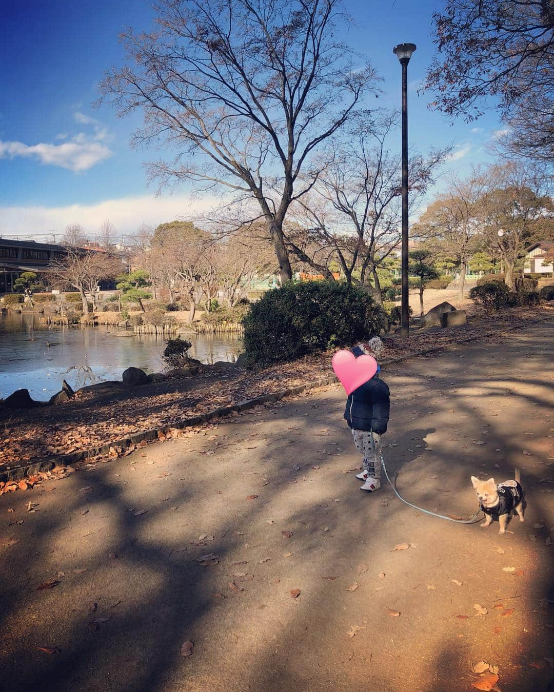 釈由美子さんのインスタグラム写真 - (釈由美子Instagram)「今年も残すところあと僅かですね。昨日で私も仕事納めしました。午前中に大掃除の残りをやっつけて、午後は息子と公園に遊びに行ってきました。気温は低くて寒かったですが、陽だまりはぽかぽか穏やか🌞で ほっこり癒されました。 のんびりした時間が流れて とても年末な気がしません😭 いつもと変わらない日常✨ 今日も元気に息子が笑って遊んでくれるだけで幸せです。。 #横浜こども自然公園 #併設している動物園の方はお休みでした #木曜日に野毛山動物園に行ったばかりだからいっか🦁 #今日から元日まで、近隣の動物園はどこもお休み #鉄道博物館🚃もお休み #どこ遊びに連れて行こうか悩む #結局、いつもの公園(^^) #はるくぅも一緒にお散歩💕」12月29日 17時42分 - yumikoshaku