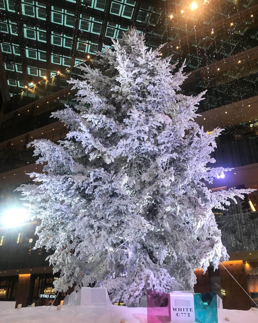 ひよこ先輩さんのインスタグラム写真 - (ひよこ先輩Instagram)「知り合いに聞いて東京駅KITTEの ホワイトツリー見て来たよ😊❤️ みんなはクリスマス好きな人と過ごすのかな☺️🍀 夕方からはライトアップもされててキレイだった😍 本物のモミの木を使った 屋内では日本最大級の高さ約14.5mを誇る クリスマスツリー🎄✨ 毎日17時10分以降、各時30分おきに 音楽にあわせて3分間ライトアップされてたよ☺️💖 12/25までやってるから是非いってみてね😆 . #KITTE #WHITEKITTE #WHITEKITTE2018」12月5日 18時36分 - piyo14ko