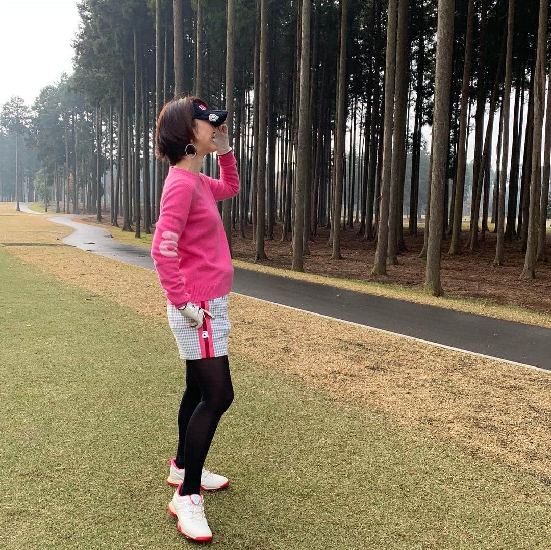 宮崎宣子さんのインスタグラム写真 - (宮崎宣子Instagram)「歩いてるだけで楽しいコース⛳️💕 薄手のセーターだけど汗だく💦 タイツも薄手なのに、暑くて、 今、本当に12月？  #golfwear #archivio #golfgirl #golflifestyle #12月とは思えない #暑かった #景色綺麗 #ゴルフウエア #アルチビオ」12月5日 23時03分 - miyazaki_nobuko