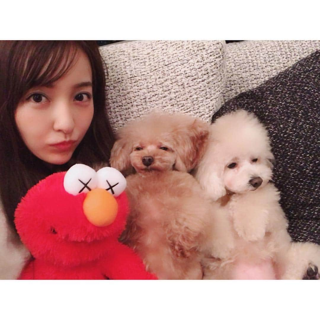 板野友美さんのインスタグラム写真 - (板野友美Instagram)「エルモさんと写真撮ってたら 🐶『何してるのー⁈』 やって来たので、 ポジションセットしてあげて 写真撮ろうとしたら みんな疲れちゃってた(×_×) @kaws エルモさんも 疲れてる…笑  ということで 皆さんも、1日お疲れ様でした♪ おやすみなさい☺️🌙❤️」12月6日 1時18分 - tomo.i_0703