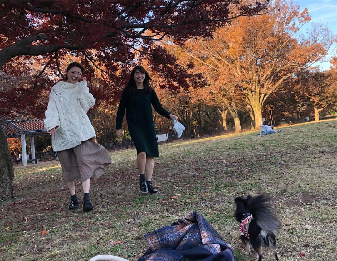 新井恵理那さんのインスタグラム写真 - (新井恵理那Instagram)「おはようございます！今日はまた寒くなるようですね(＞＜)暖かかった火曜日、わたしは代々木公園でピクニックをしました( ^ω^ )思いつきの即席だったから、食べ物はそれぞれ買って持ち寄りだけど、友里さん&愛犬とおのののかちゃんと、のんびーり話しながら、紅葉と空を楽しんだ♪♪♪もうしばらく、こんな風には過ごせないかな(=´∀｀)寒さに負けずに頑張ろーっ！#ピクニック #紅葉 #代々木公園 #伊藤友里 #おのののか #新井恵理那」12月6日 4時12分 - elina_arai