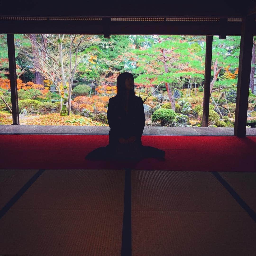 清水彩子のインスタグラム：「もうシーズン終わりだったけど、綺麗だったぁ~🍁 #北方文化博物館 #新潟#niigata #紅葉#🍁 #japan #新潟さんぽ🌸」