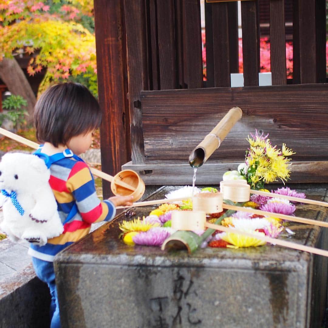 木村涼子さんのインスタグラム写真 - (木村涼子Instagram)「2018.12.6 東福寺に行った時に、こちらの勝林寺にも寄りました。 友達の投稿を見て、この花手水が見てみたくなった💐 お庭がきれいで、とっても素敵なお寺でした🍁 お堂で座禅を組んでる人が沢山いてました。 こんなお寺に時々通って、座禅を組んだり写経したりするのもいいだろうなぁ #勝林寺 #手水舎 #花手水 #紅葉 #京都 #kyoto #japan」12月6日 10時56分 - kimuryou