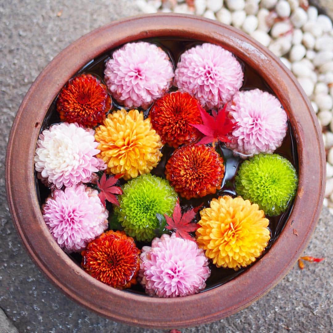 木村涼子のグルメインスタ