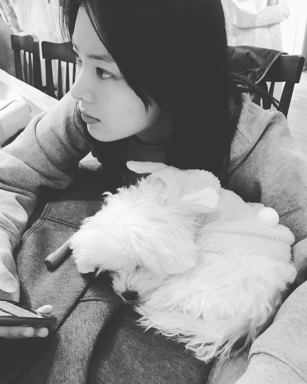 ハン・ジソンのインスタグラム：「#흑백 #한옥이 #멍멍이 #비숑프리제 #세상진지 🐶 #미인은잠꾸러기 아무리 봐도 한옥이는 사람인거 같다..... 🌹 이모팬 💌」